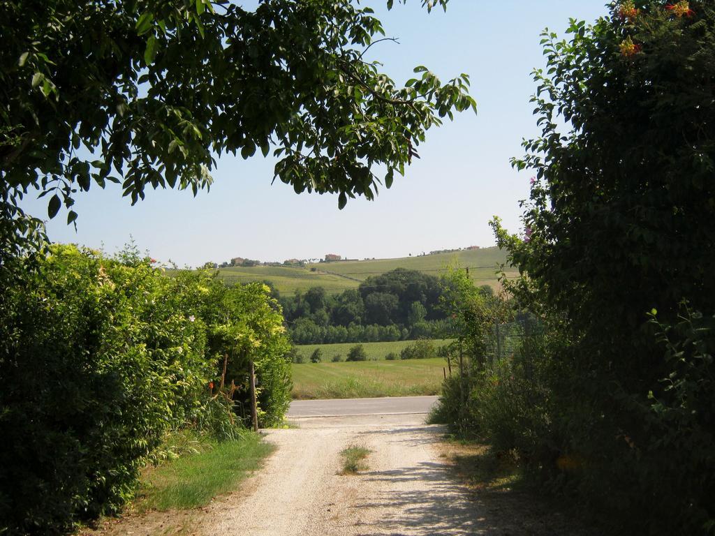 Agriturismo Le Vigne Fermo megye Kültér fotó