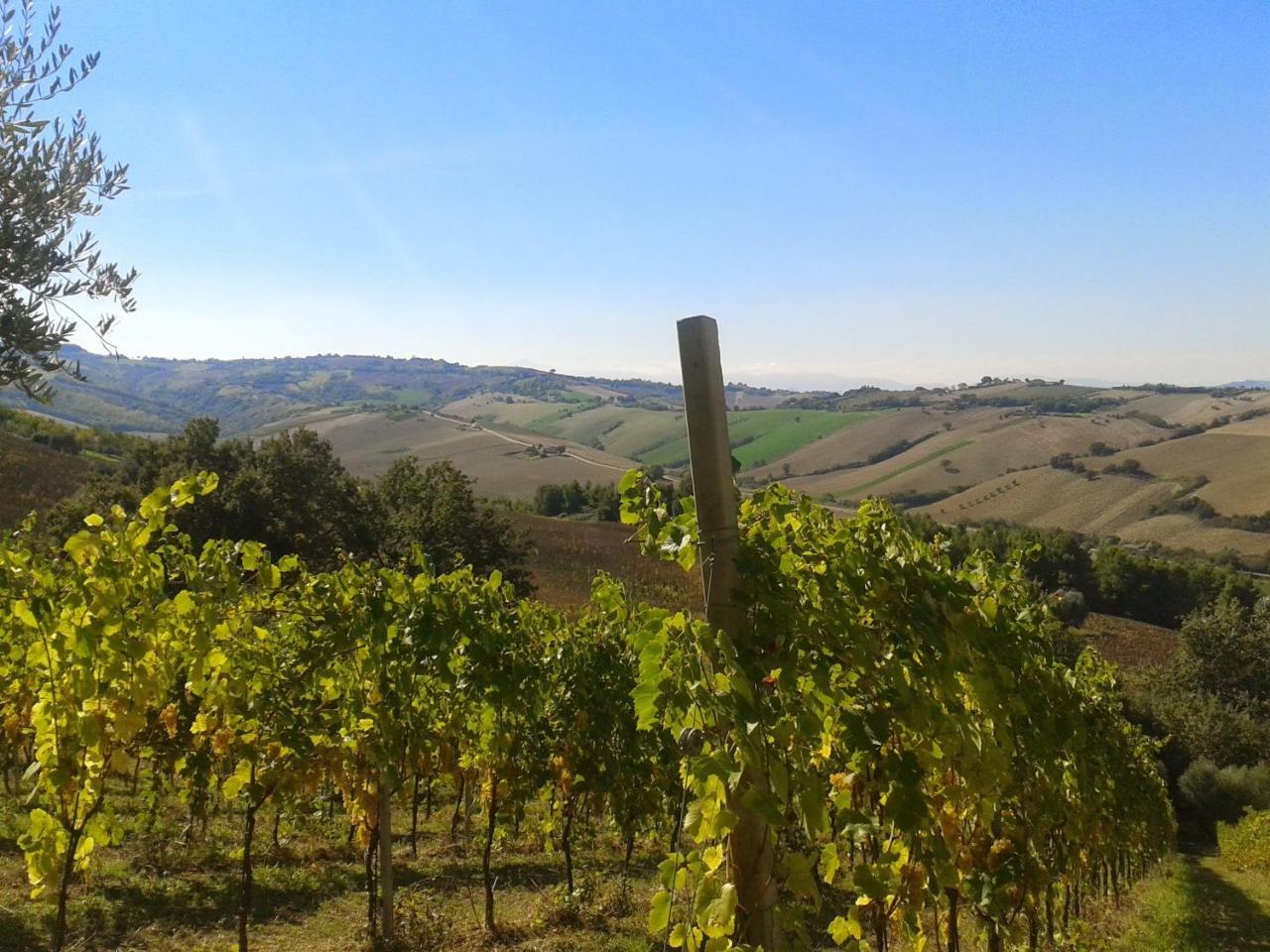 Agriturismo Le Vigne Fermo megye Kültér fotó